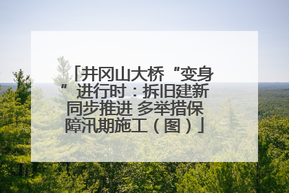 井冈山大桥“变身”进行时：拆旧建新同步推进 多举措保障汛期施工（图）