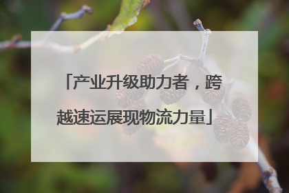 产业升级助力者，跨越速运展现物流力量