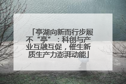 亭湖向新而行步履不“亭”：科创与产业互融互促，催生新质生产力澎湃动能