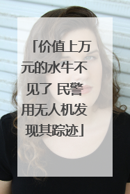 价值上万元的水牛不见了 民警用无人机发现其踪迹