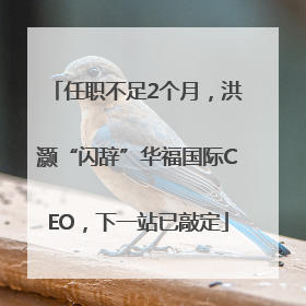 任职不足2个月，洪灏“闪辞”华福国际CEO，下一站已敲定