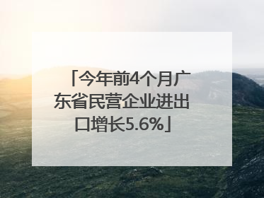 今年前4个月广东省民营企业进出口增长5.6%