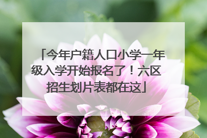 今年户籍人口小学一年级入学开始报名了！六区招生划片表都在这