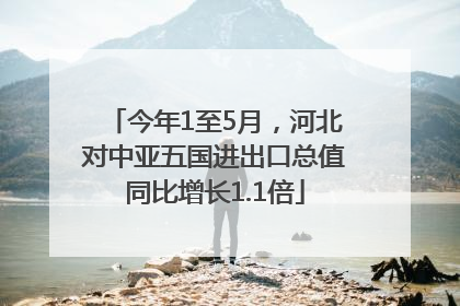 今年1至5月，河北对中亚五国进出口总值同比增长1.1倍