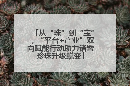 从“珠”到“宝”，“平台+产业”双向赋能行动助力诸暨珍珠升级蜕变