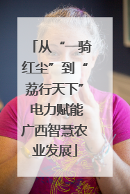 从“一骑红尘”到“荔行天下” 电力赋能广西智慧农业发展