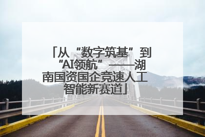 从“数字筑基”到“AI领航”——湖南国资国企竞速人工智能新赛道