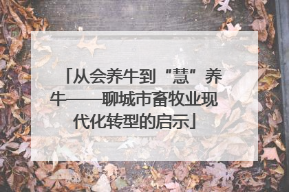 从会养牛到“慧”养牛——聊城市畜牧业现代化转型的启示