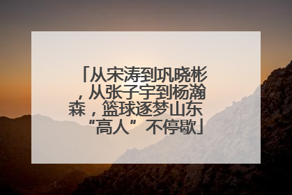 从宋涛到巩晓彬，从张子宇到杨瀚森，篮球逐梦山东“高人”不停歇