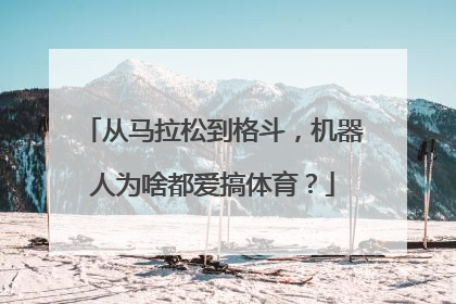 从马拉松到格斗，机器人为啥都爱搞体育？
