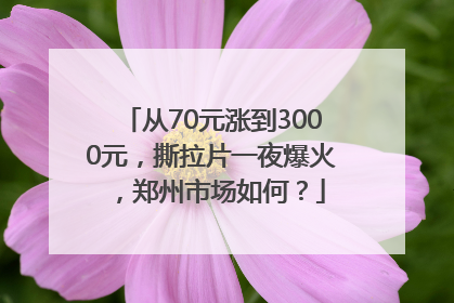 从70元涨到3000元，撕拉片一夜爆火，郑州市场如何？