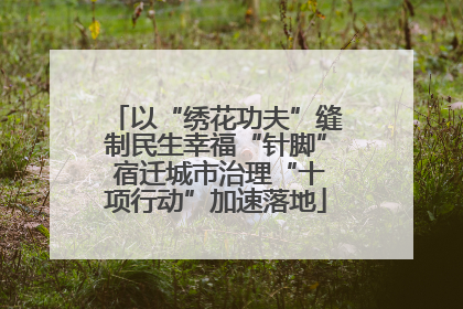 以“绣花功夫”缝制民生幸福“针脚” 宿迁城市治理“十项行动”加速落地