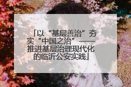 以“基层善治”夯实“中国之治”——推进基层治理现代化的临沂公安实践