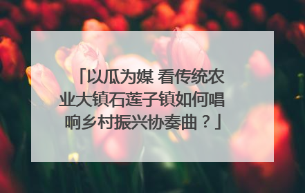 以瓜为媒 看传统农业大镇石莲子镇如何唱响乡村振兴协奏曲？