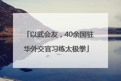 以武会友，40余国驻华外交官习练太极拳