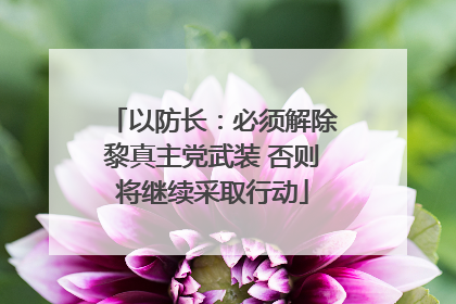 以防长：必须解除黎真主党武装 否则将继续采取行动