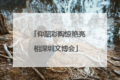 仰韶彩陶惊艳亮相深圳文博会