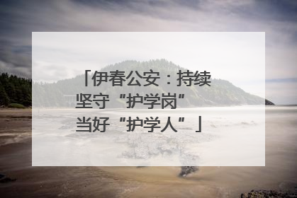伊春公安：持续坚守“护学岗” 当好“护学人”