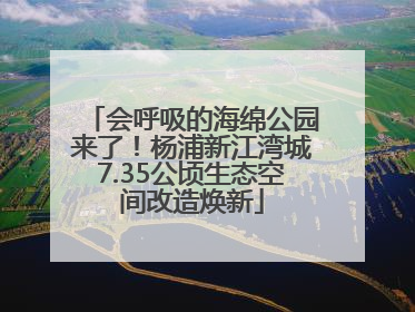 会呼吸的海绵公园来了！杨浦新江湾城7.35公顷生态空间改造焕新