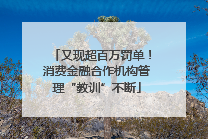 又现超百万罚单！消费金融合作机构管理“教训”不断
