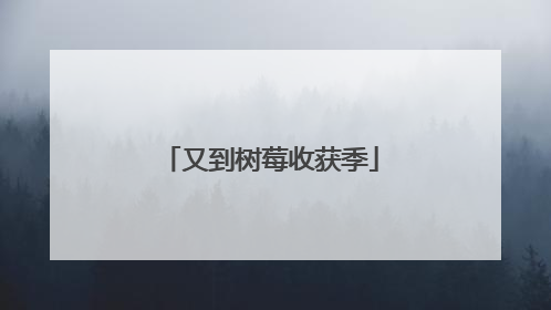 又到树莓收获季