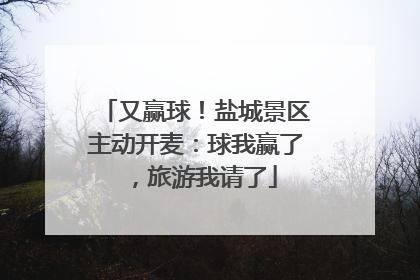 又赢球！盐城景区主动开麦：球我赢了，旅游我请了
