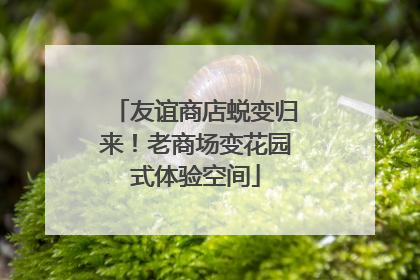 友谊商店蜕变归来！老商场变花园式体验空间