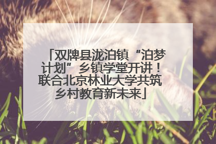双牌县泷泊镇“泊梦计划”乡镇学堂开讲！联合北京林业大学共筑乡村教育新未来