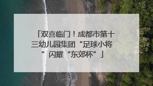 双喜临门！成都市第十三幼儿园集团“足球小将”闪耀“东郊杯”