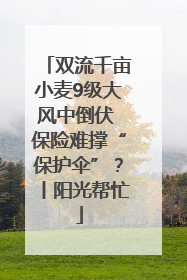 双流千亩小麦9级大风中倒伏 保险难撑“保护伞”？丨阳光帮忙
