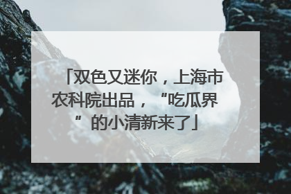 双色又迷你，上海市农科院出品，“吃瓜界”的小清新来了