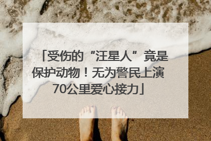受伤的“汪星人”竟是保护动物！无为警民上演70公里爱心接力