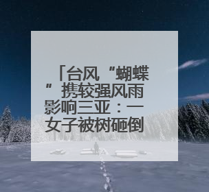 台风“蝴蝶”携较强风雨影响三亚：一女子被树砸倒送医，无大碍当天回家 当地已紧急清障