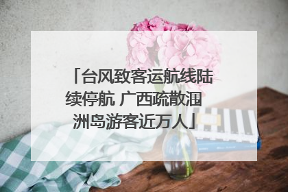 台风致客运航线陆续停航 广西疏散涠洲岛游客近万人