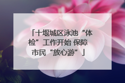 十堰城区泳池“体检”工作开始 保障市民“放心游”