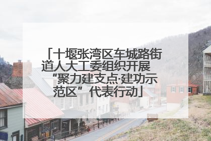 十堰张湾区车城路街道人大工委组织开展 “聚力建支点·建功示范区”代表行动