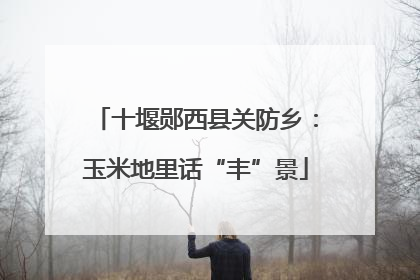 十堰郧西县关防乡：玉米地里话“丰”景