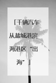 千辆汽车从盐城港滨海港区“出海”