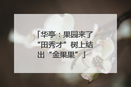 华亭：果园来了“田秀才”树上结出“金果果”