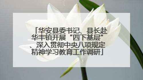 华安县委书记、县长赴华丰镇开展“四下基层”、深入贯彻中央八项规定精神学习教育工作调研
