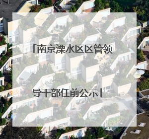 南京溧水区区管领导干部任前公示