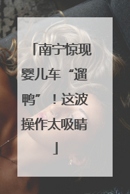 南宁惊现婴儿车“遛鸭”！这波操作太吸睛