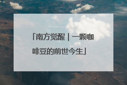 南方觉醒｜一颗咖啡豆的前世今生