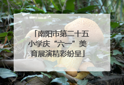 南阳市第二十五小学庆“六一”美育展演精彩纷呈