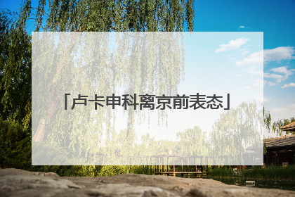 卢卡申科离京前表态