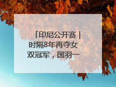 印尼公开赛｜时隔8年再夺女双冠军，国羽一金一银收官