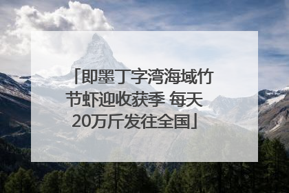 即墨丁字湾海域竹节虾迎收获季 每天20万斤发往全国