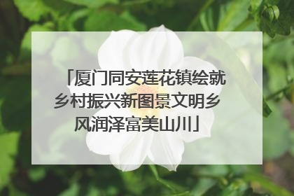 厦门同安莲花镇绘就乡村振兴新图景文明乡风润泽富美山川