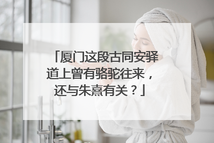 厦门这段古同安驿道上曾有骆驼往来，还与朱熹有关？