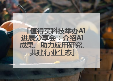 值得买科技举办AI进展分享会：介绍AI成果、助力应用研究、共建行业生态
